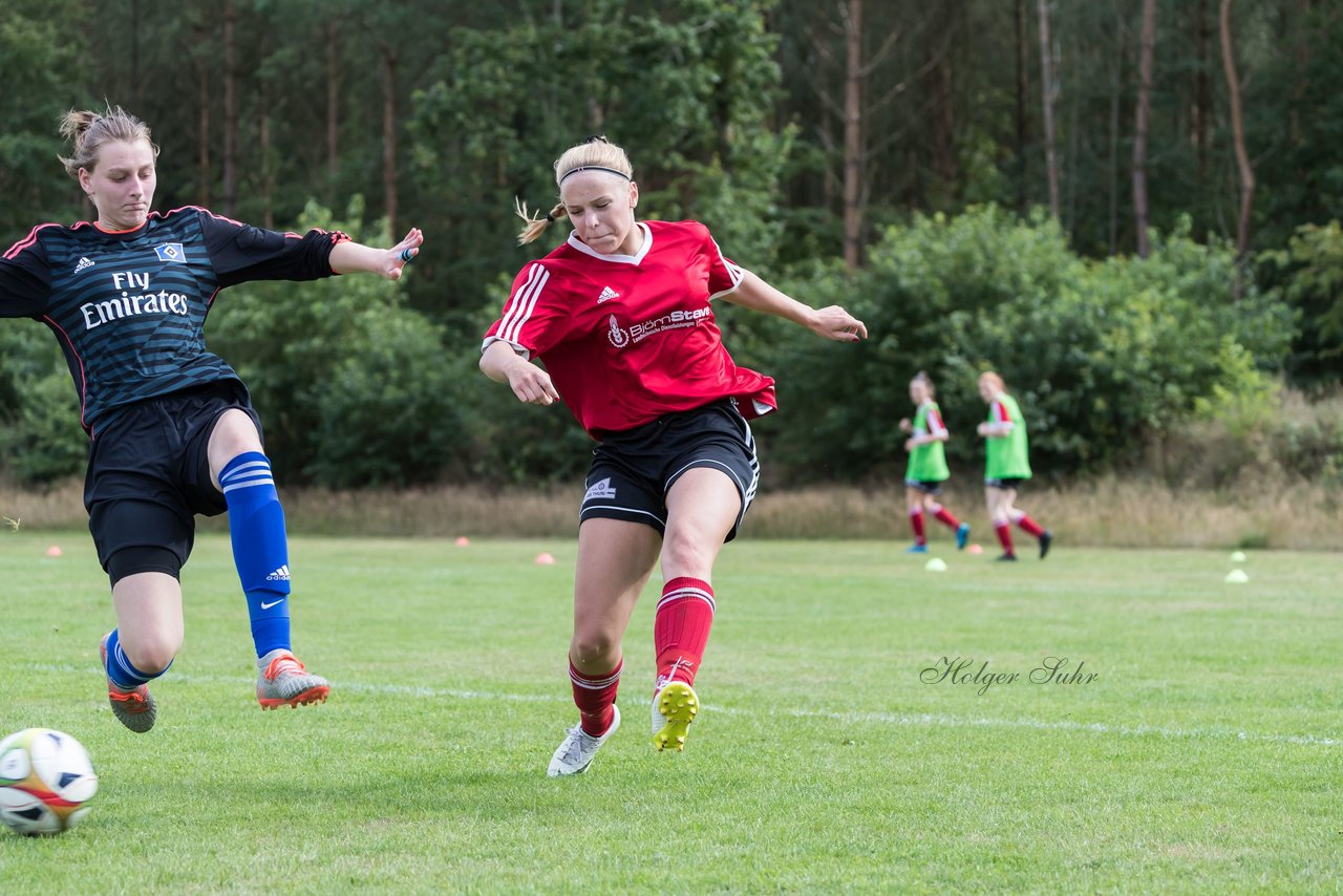 Bild 213 - Frauen SG NieBar - HSV 2 : Ergebnis: 4:3